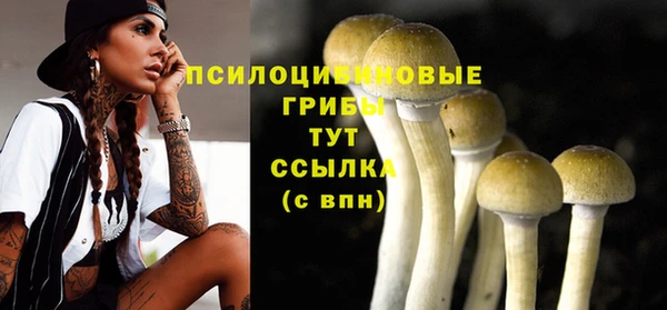мяу мяу кристалл Карабаш