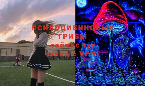 ГАЛЛЮЦИНОГЕННЫЕ ГРИБЫ Нея
