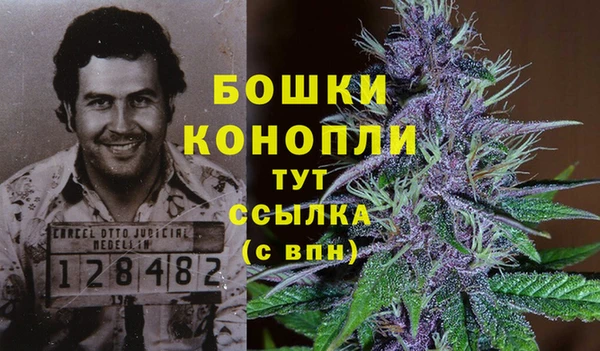 мдпв Нефтекумск